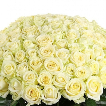 Элитная корзина с натуральными белыми Розами