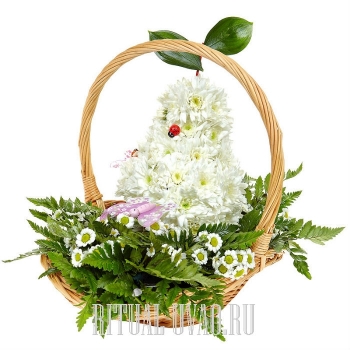 Живые цветы в виде игрушки на похороны "Ангелочку"