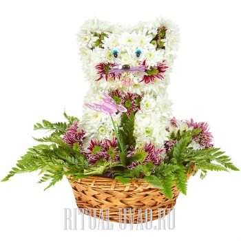 Композиция на могилу ребенку из живых цветов "Кошка"