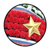 ВС РФ. Офицерские похороны по уставу гарнизонной и караульной служб