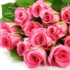 Плетеная корзина из живых розовых Роз