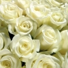 Роскошная корзина на похороны из белых Роз